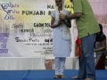 the-annual-national-punjabi-bhasha-mela-2014-540